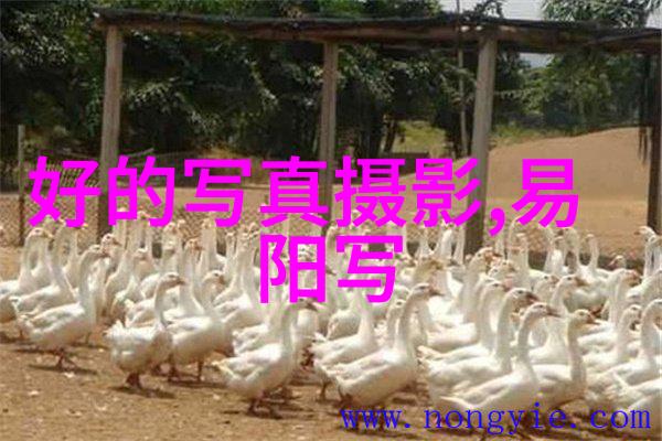 会有人分享网红snowry李冰冰假设名字的结婚日程吗