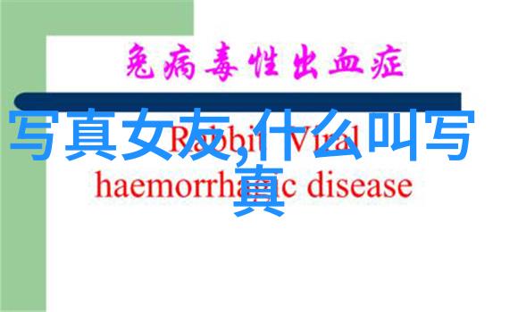 温馨回忆录共享最美时光的旅程