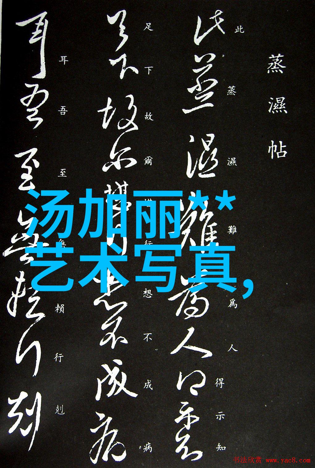 默契背后的信号陈思诚与王宝强的无声对话