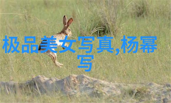 上头条你闻过猫咪革命吗