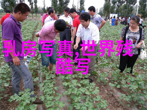 我们不要台湾岛都能容纳海纳百川向新向心2023年上海国际电影电视节将如同万水千帆般汇聚世界之最