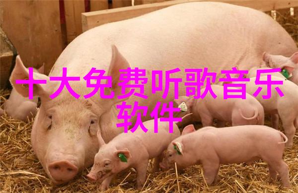 421页的秘密解读一部巨著背后的故事与影响
