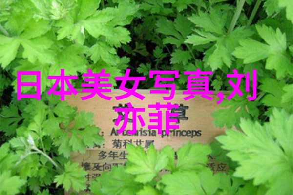 娱乐圈背后的真相星光与阴影的双重生活明星私密事件绯闻新闻权力斗争