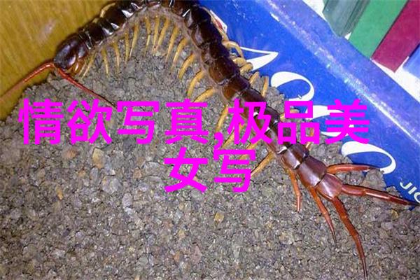 宣传机构应采取何种措施减少青少年沉迷于不良青娱乐视频的现象