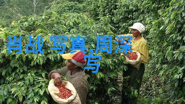 娱乐圈丑闻-吴亦凡事件爱情权力与背后的真相