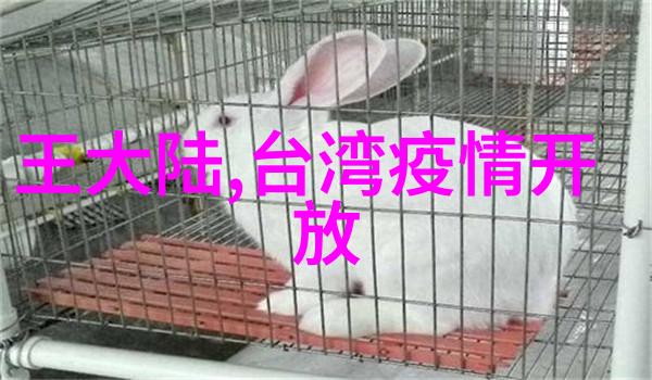 在历史上的各个时期人们是如何解读和应用易经中的八卦的呢