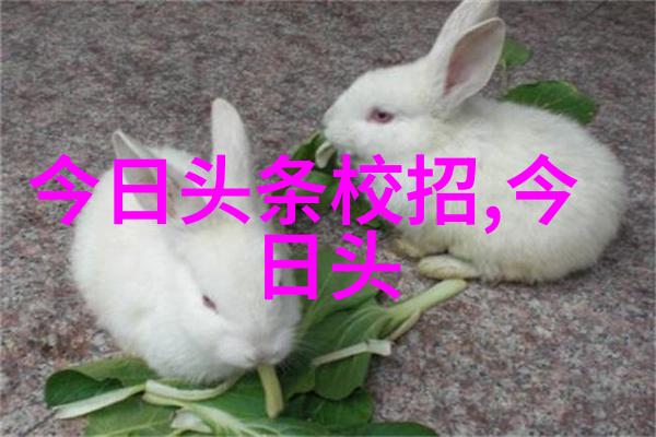 汪峰音乐梦想从草根到头条的逆袭故事