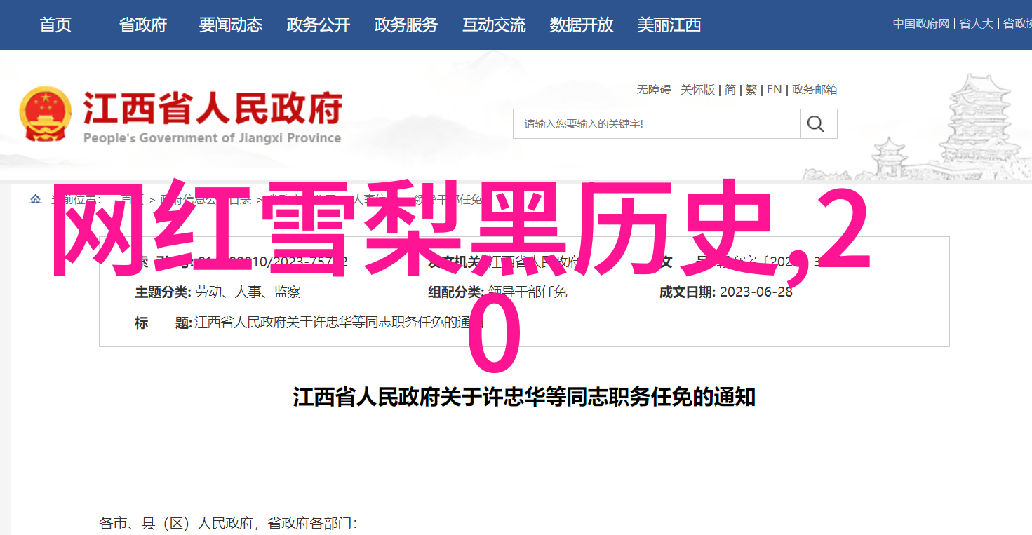 岛之心脏台湾的未来与国际影响力