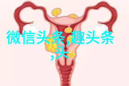 娱乐圈我是小神兽的宠儿星光下的秘密爱恋