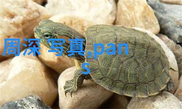 那那些让高以翔一举成名的经历发生在哪些具体的情境之下呢