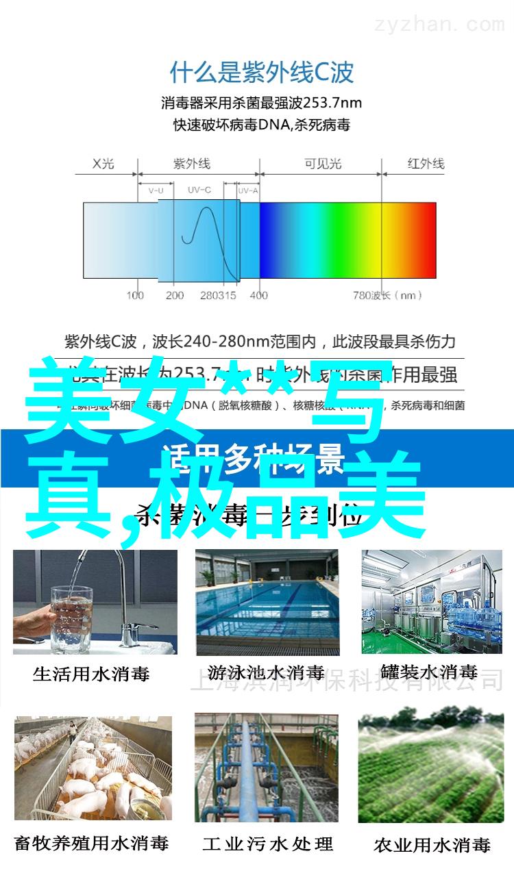 敢死队4新时代的挑战