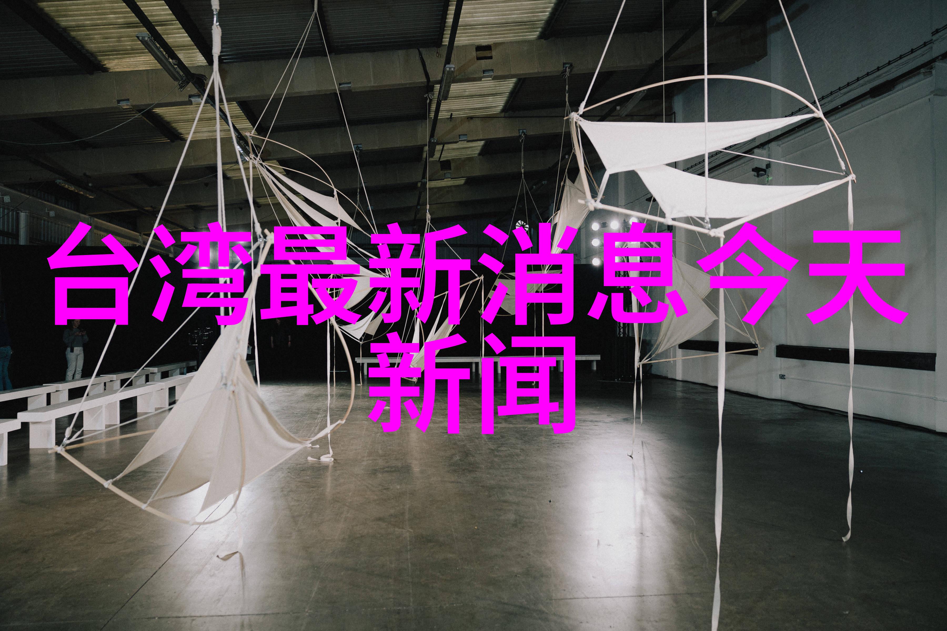 惊英皇娱乐的王杰克逊在日本挥洒中国墨竹震惊了日本艺术界的大师们他们对他的作品给予了高度的评价和赞赏