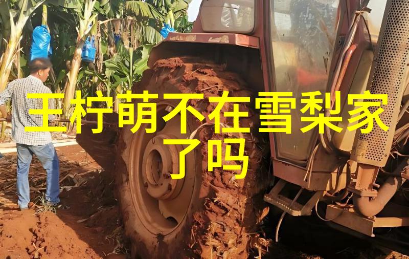 内地究竟意味着什么揭秘这个词汇背后的故事与文化深度