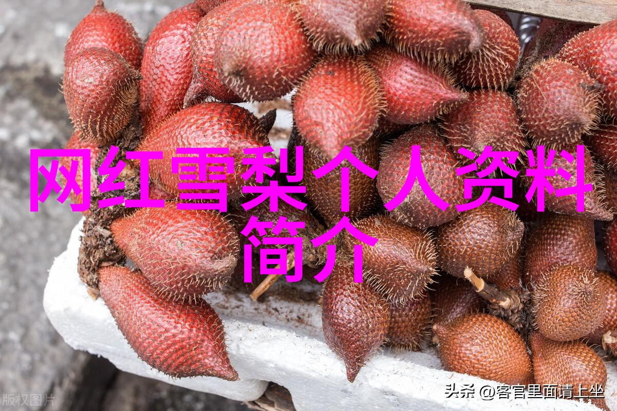 星空影院免费观赏银河下的电影盛宴