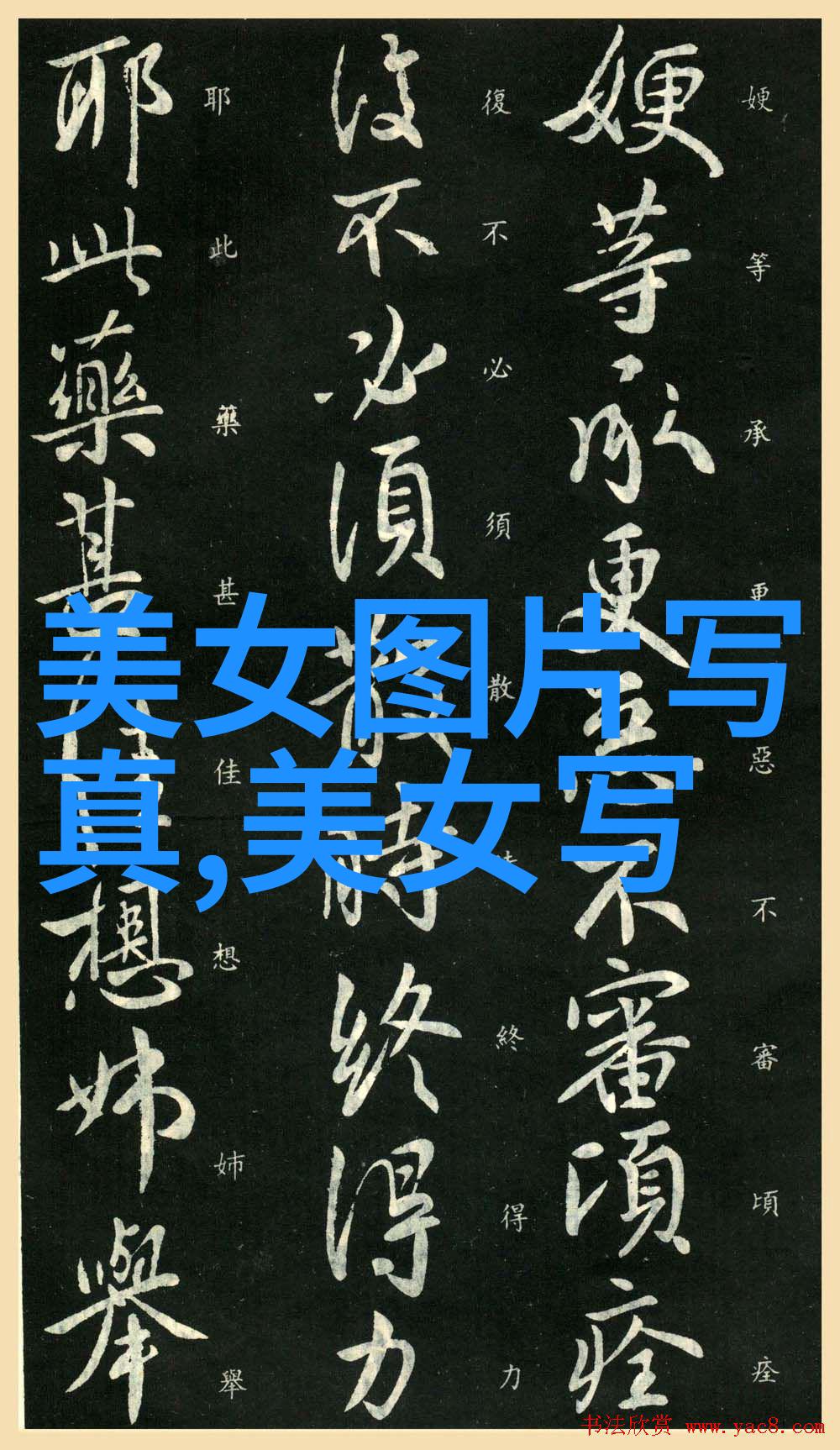 收规华 电视剧带你深入探索妻子的选择孙莉张瑶王真儿马吟吟共同诠释女性人生精彩篇章