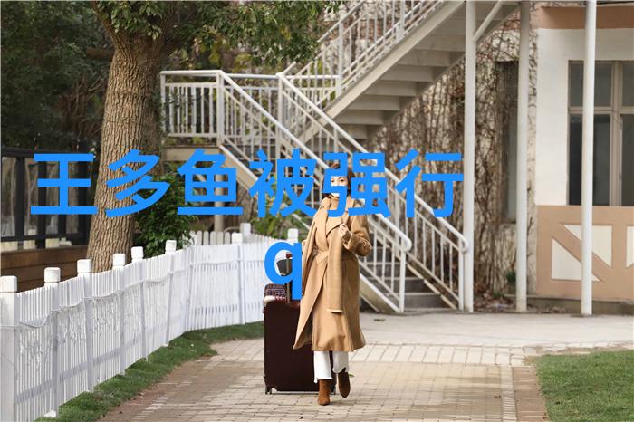 写真摄影 - 拍出生命的瞬间写真艺术探索