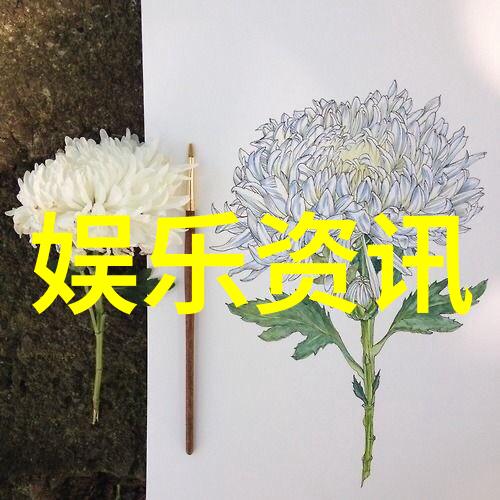 影后的秘密刘亦菲写真背后的故事