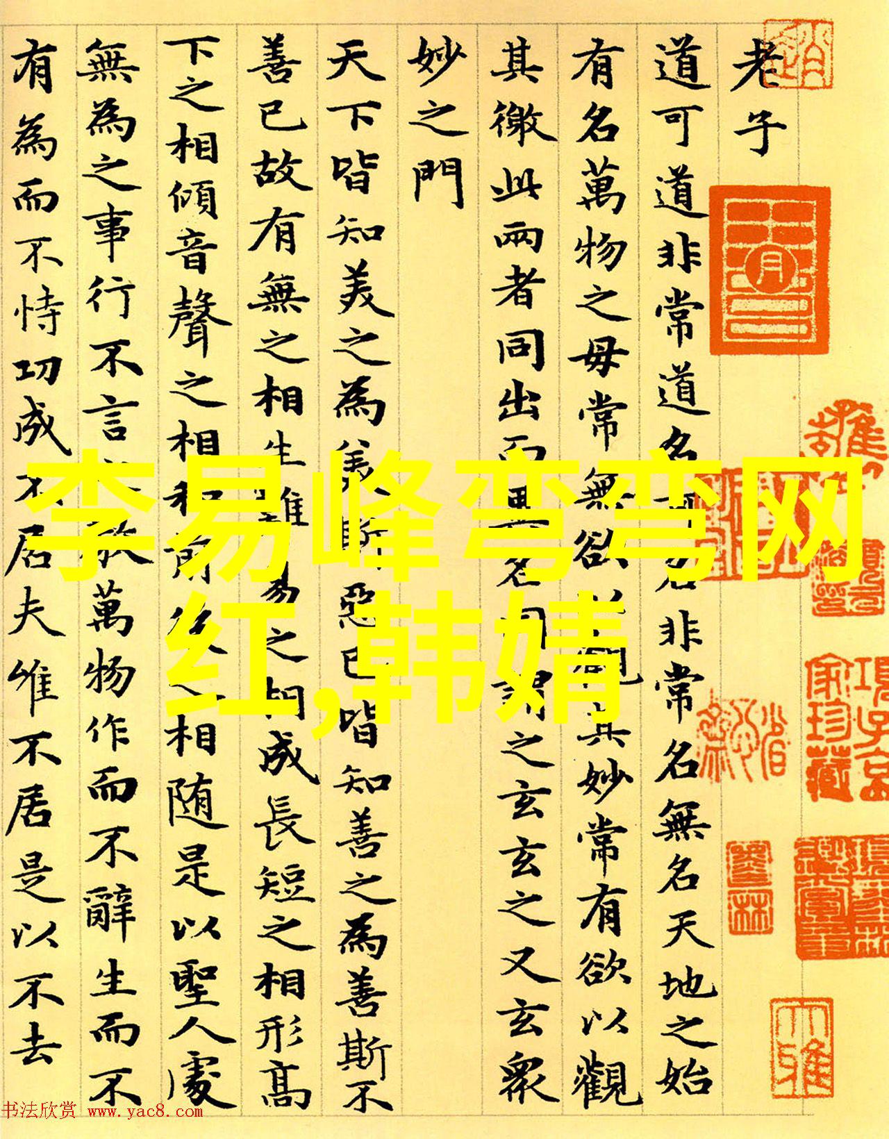 好的写真摄影 - 抓住光影的艺术如何创作出令人难忘的照片