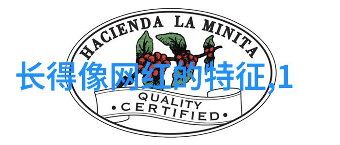 朴炯植与朴宝英携手再创江南顺yoka时尚网独家报道探索自然之美