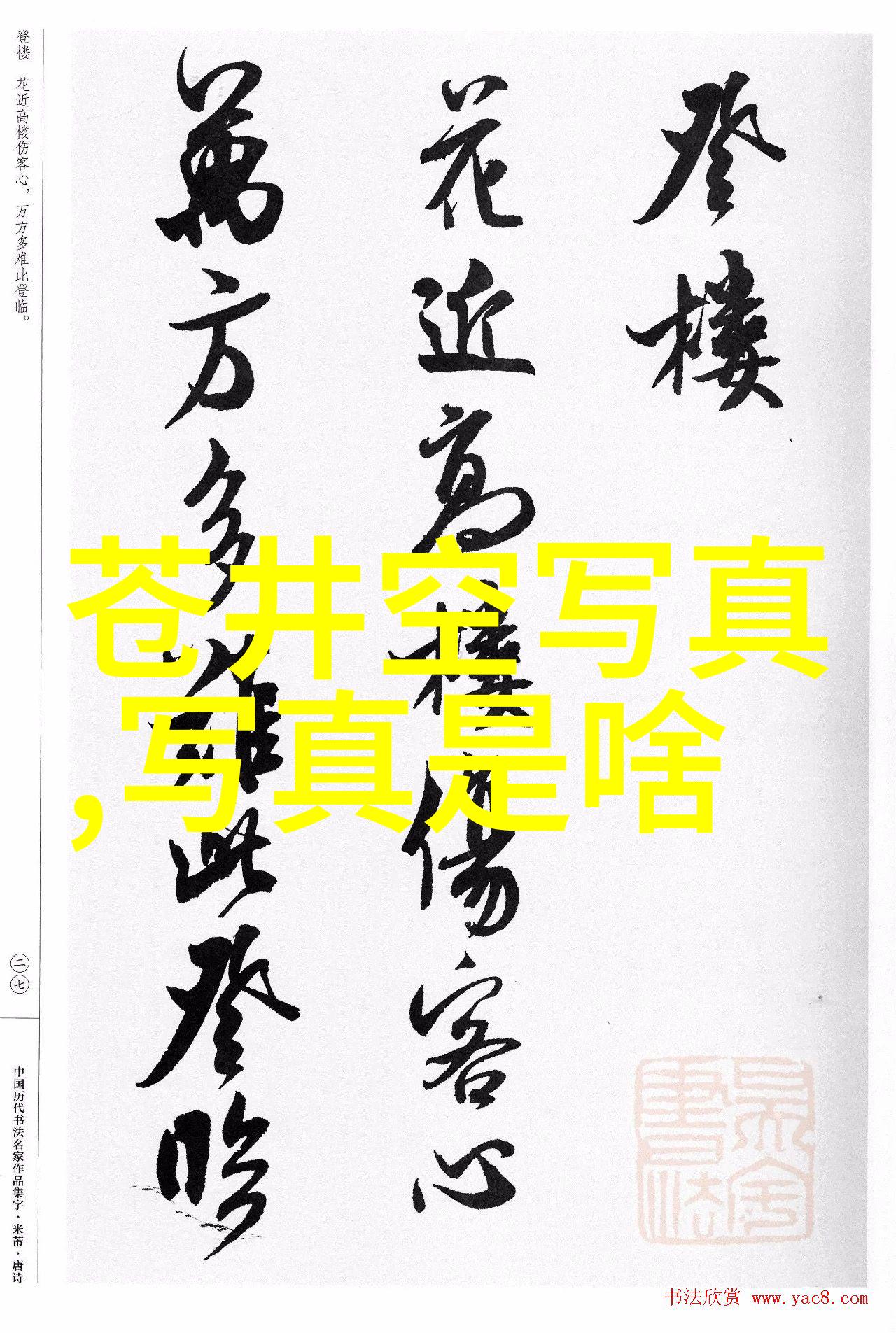 青春学社的传说与美少年的光芒