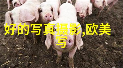 苏阳巡回音乐会北京站落幕 西北摇滚点燃自然风情免费音乐下载软件全免费体验现场热潮