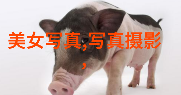 天涯明月刀概要