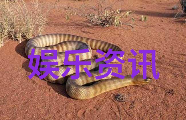 探索未来台湾2035愿景与其背后的意义