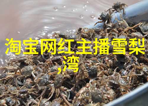 2021年最新最全图片素材集高清写真图库