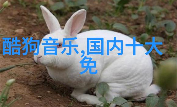 数字奇迹解密300501背后的科技与文化秘密