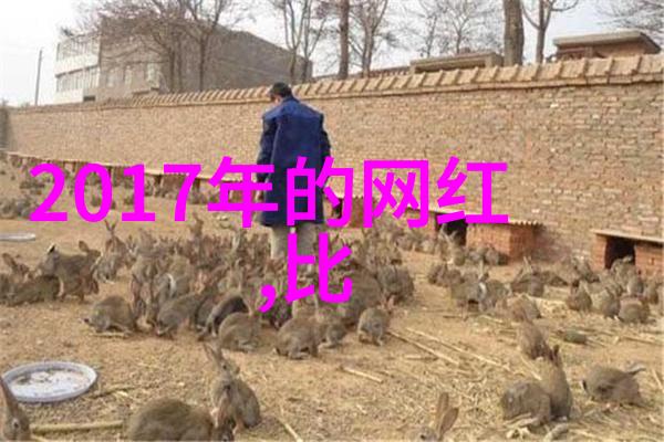 时尚模特写真展探索模特的另一面