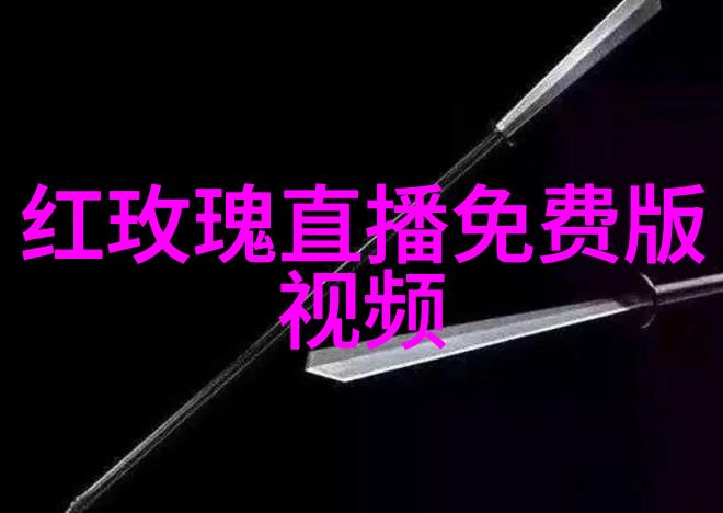 来自星空的礼物综艺喜乐汇的外籍明星特辑