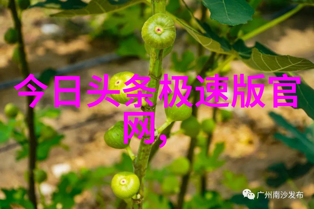 霸气昵称2021最火网名选择指南