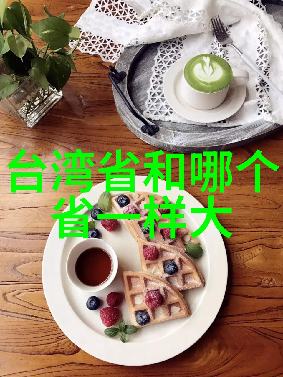 台湾新南向政策能否有效吸引更多的外国投资