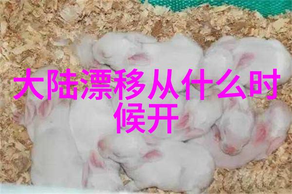 从默默无闻到闪耀星光我在娱乐圈爆红的秘密是什么