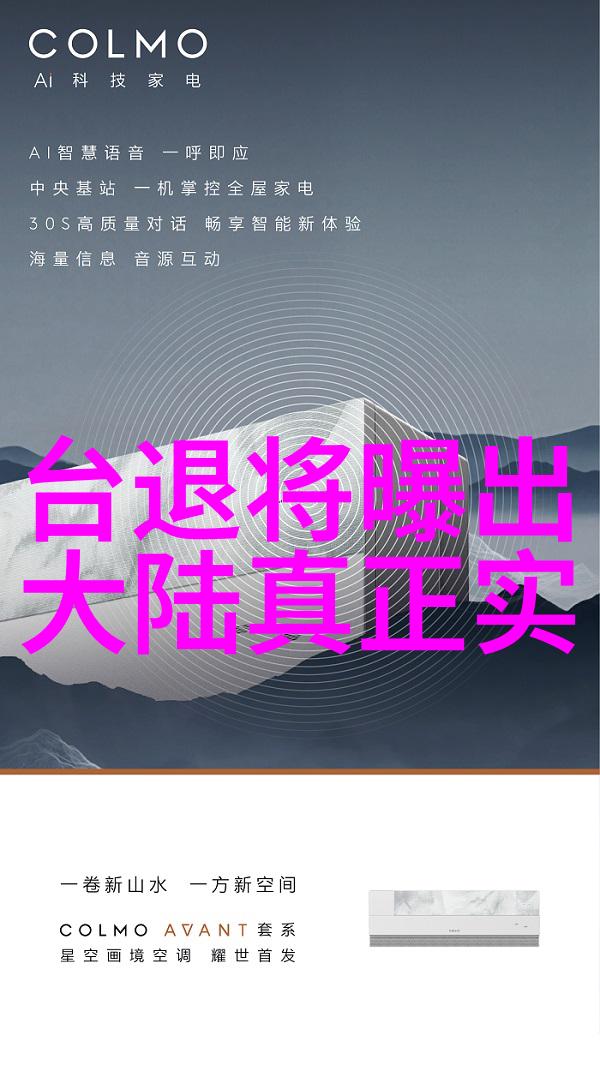 星光闪耀娱乐圈小说的秘密故事