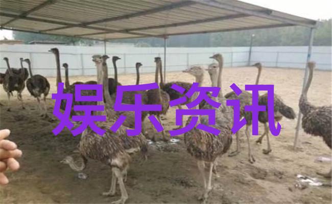 如何成为一名真正懂得欣赏时尚的人