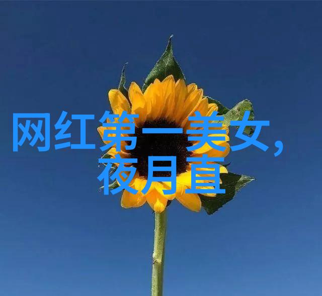 传承与创新美少年学社对未来的展望