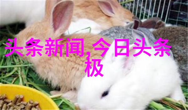 张杰称小虎队是偶像 工体个唱带歌迷玩穿越