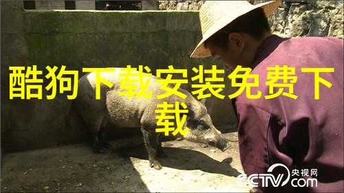 图像检索革命快速找到你需要的每一张照片