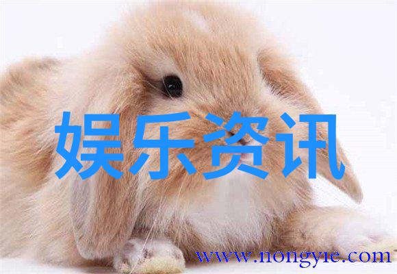官方直发电网头条app现在就可以安心下载体验