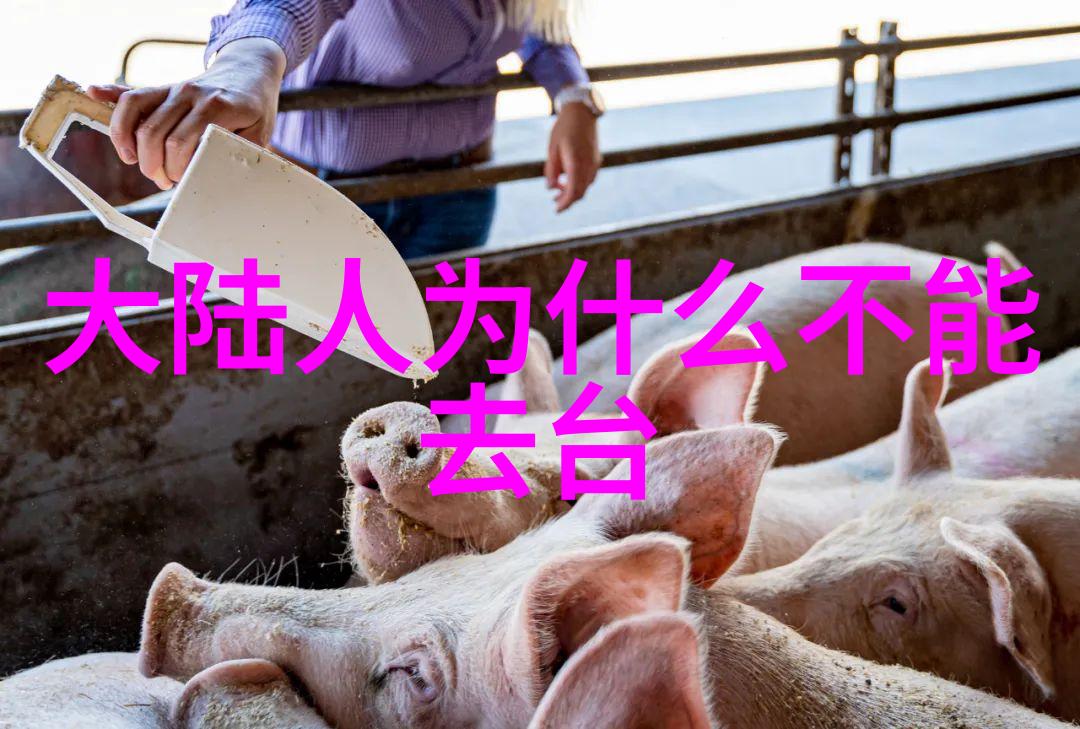 如何成为一个真正的时尚达人实用技巧分享