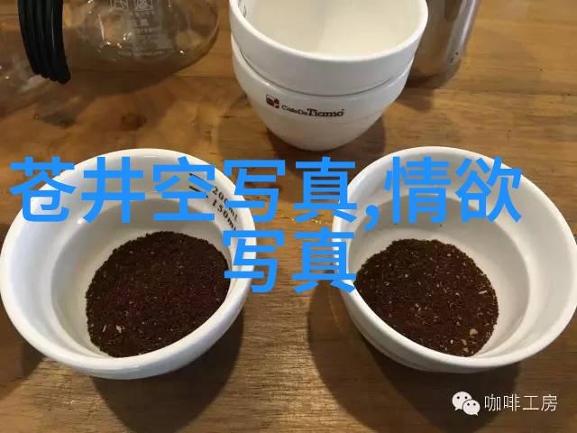 镜中岁月轻纱与银发的共鸣