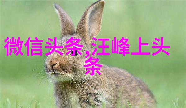 天天影视全民大剧推荐