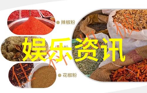 失落的航向在无尽的漂流中寻找归途