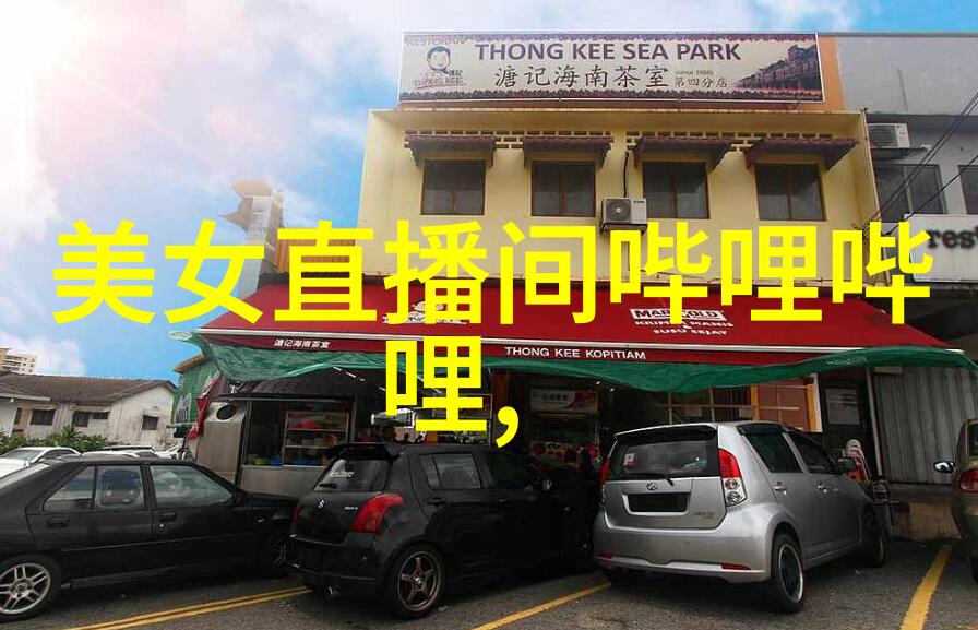 在剧本编写中如何巧妙地表达迫的爱人的内心世界