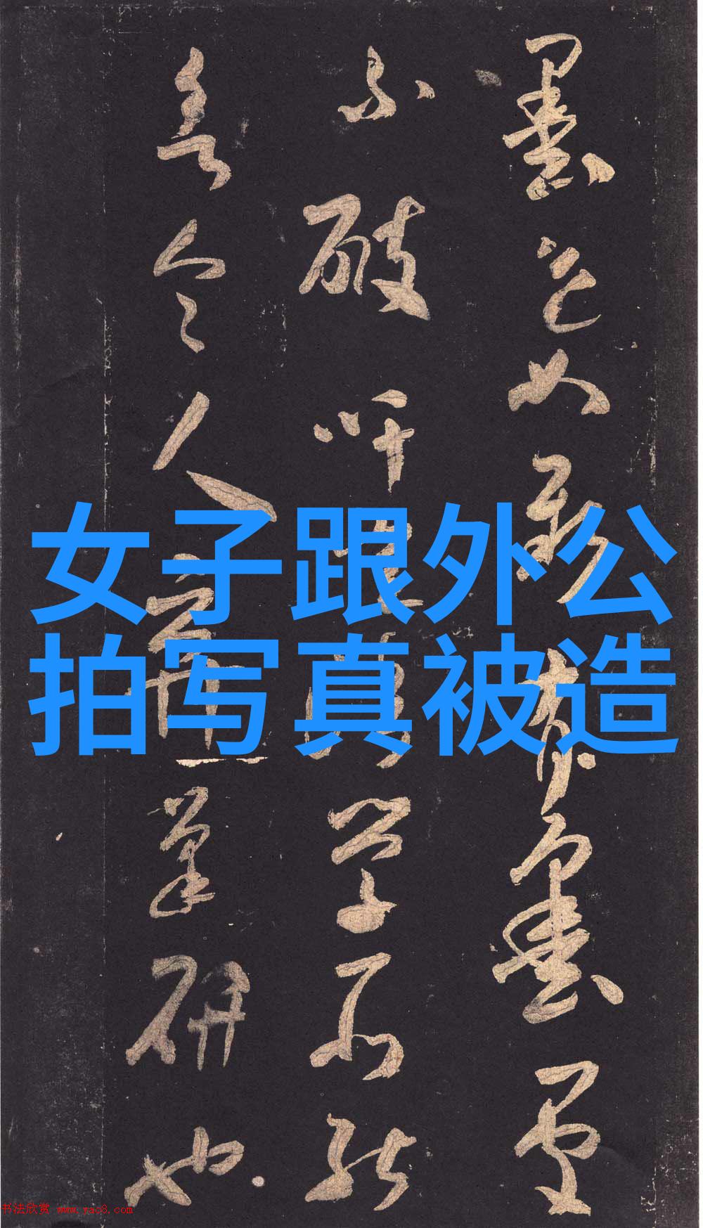 综艺盛宴幕后花絮与观众心中那一刻