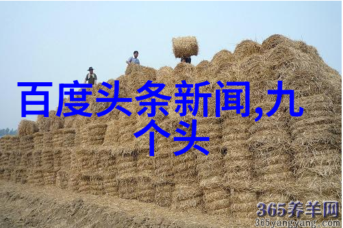 百度图片识别技术的奇妙应用与未来发展前景