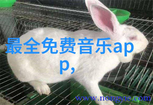 啊英语老师的胸好软我的心却跳得飞快