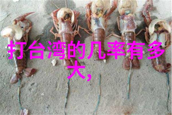 岳小钗txt古风情感的文本故事