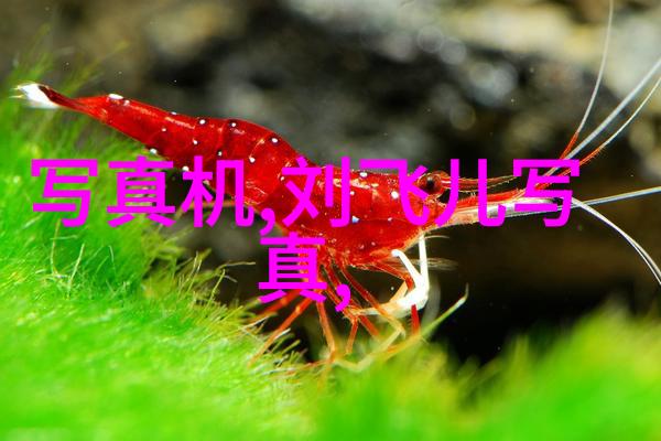 天地姻缘七仙女星辰下的秘密之恋